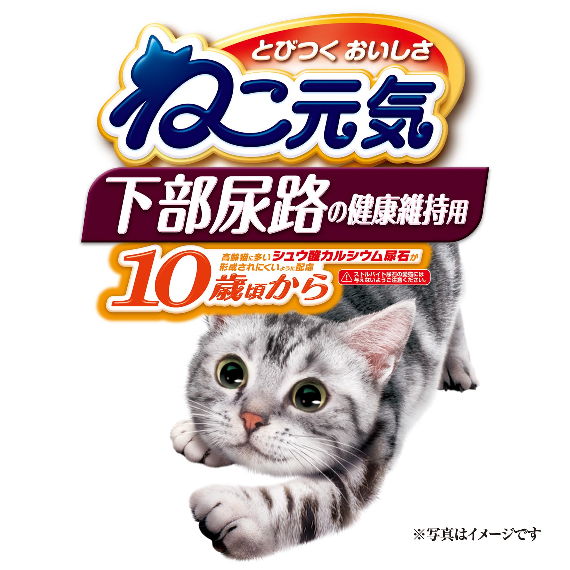 Amazon | ねこ元気 下部尿路の健康維持用 10歳頃から まぐろ